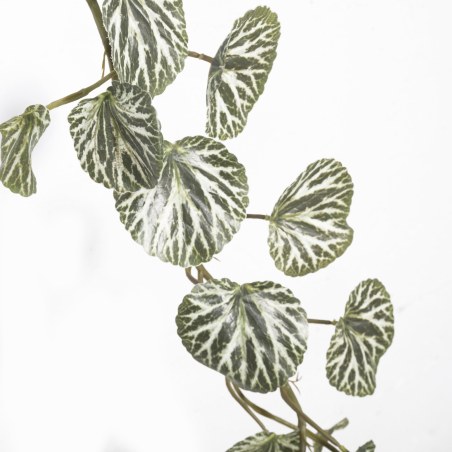 Supergreens Τεχνητή Γιρλάντα Σαξιφράγκα Sarmentosa Πράσινο 168 εκ.