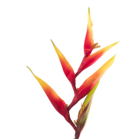 Supergreens Τεχνητό Κλαδί Ελικόνια Latispatha Πορτοκαλί 86 εκ.