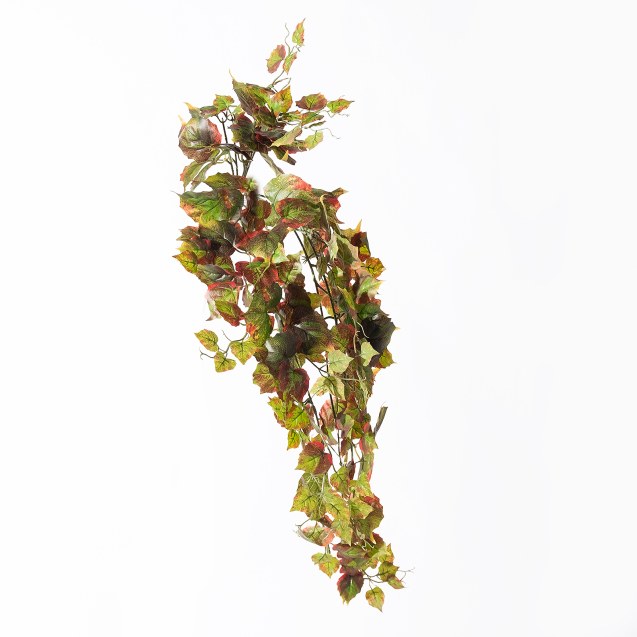 Supergreens Τεχνητός Κρεμαστός Φίκος Afzelii...