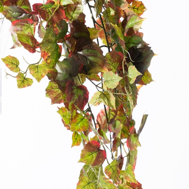 Supergreens Τεχνητός Κρεμαστός Φίκος Afzelii...