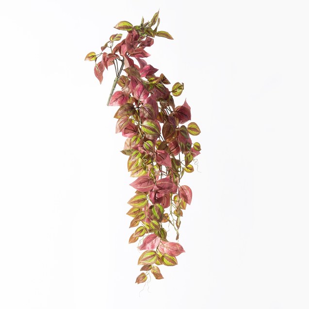 Supergreens Τεχνητή Κρεμαστή Τραντεσκάντια Μωβ...