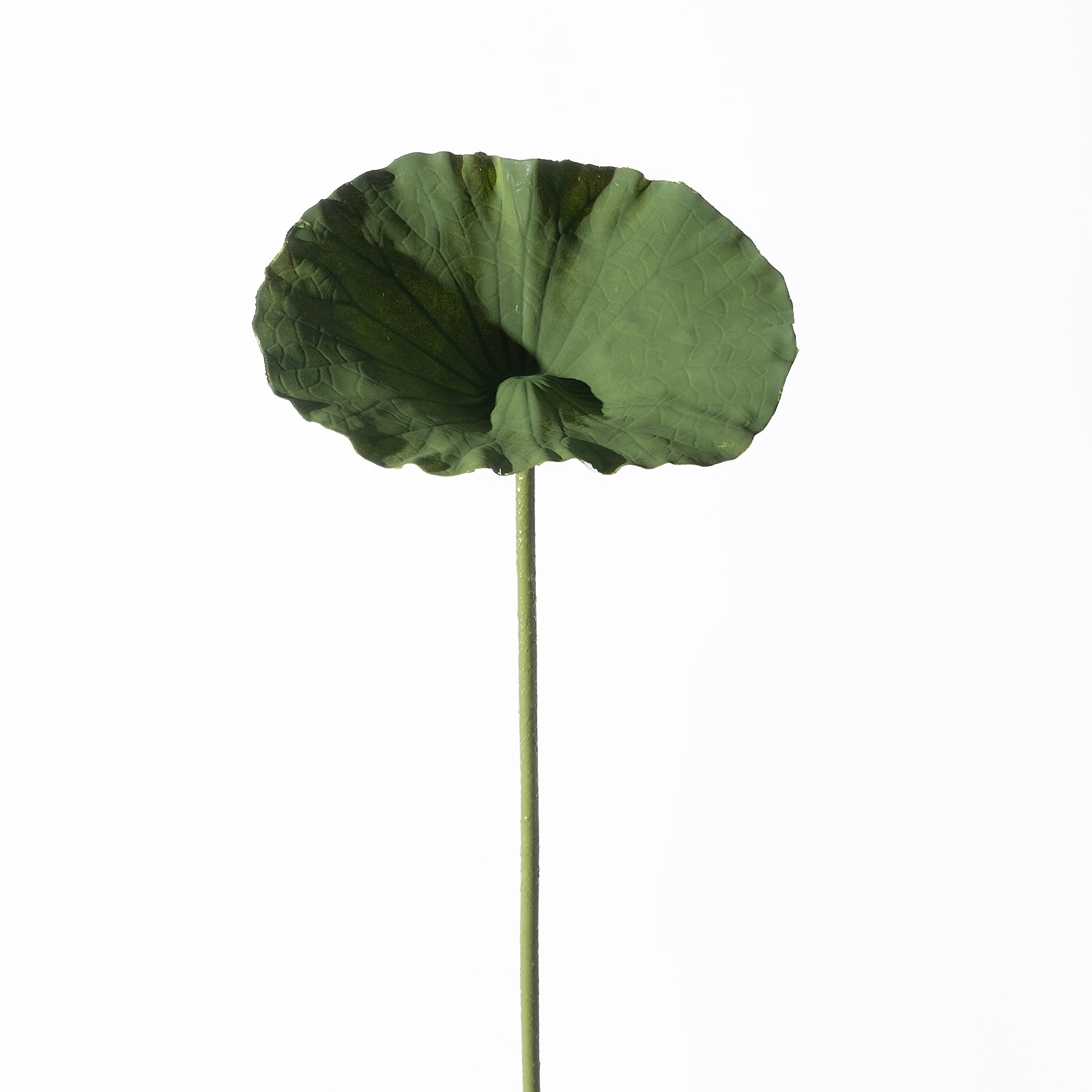 Supergreens Τεχνητό Κλωνάρι Φαρφούκιο Πράσινο 70 εκ.