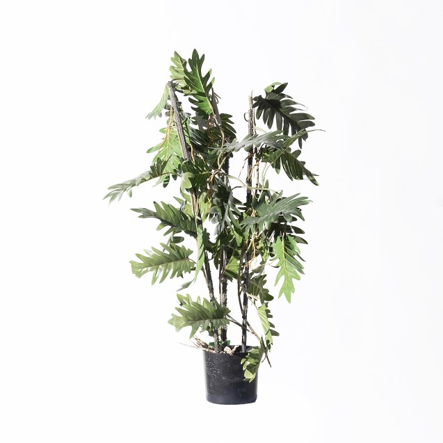 Supergreens Τεχνητό Φυτό Φιλόδενδρο Xanadu...