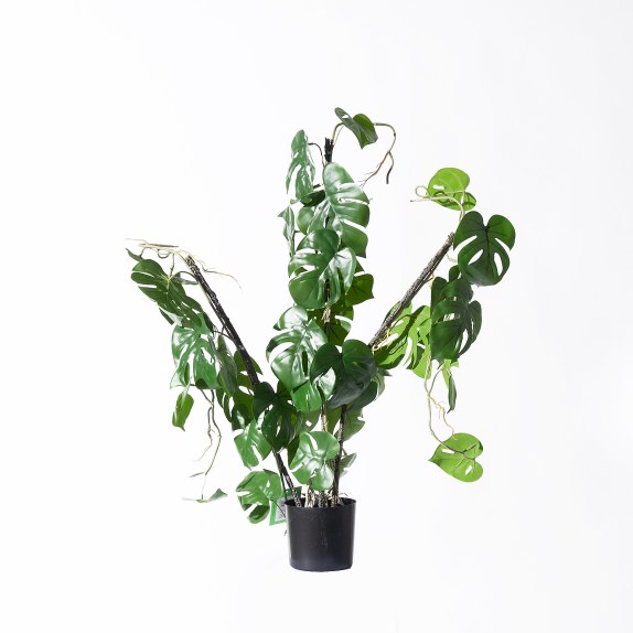 Supergreens Τεχνητό Φυτό Μονστέρα "Minima" Vining Πράσινο...