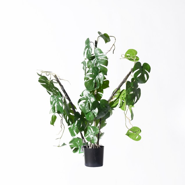 Supergreens Τεχνητό Φυτό Μονστέρα "Minima"...