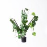 Supergreens Τεχνητό Φυτό Μονστέρα "Minima" Vining Πράσινο 75 εκ.