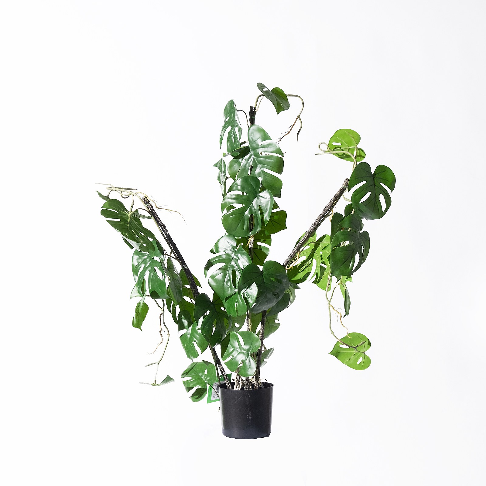 Supergreens Τεχνητό Φυτό Μονστέρα "Minima" Vining Πράσινο 75 εκ.