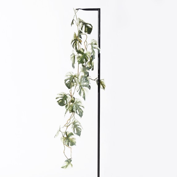 Supergreens Τεχνητή Γιρλάντα Μονστέρα Albo Variegata...