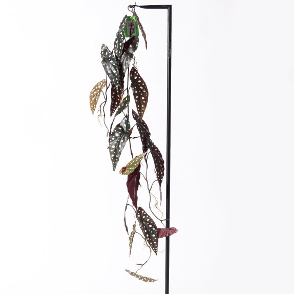 Supergreens Τεχνητή Γιρλάντα Μπιγκόνια Maculata Πράσινη...