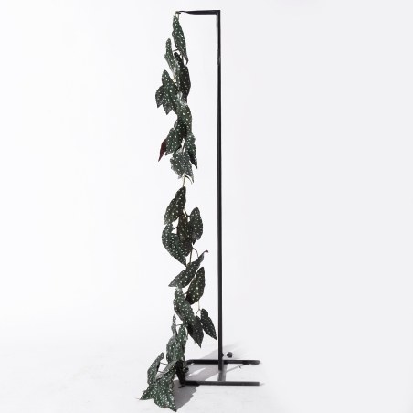 Supergreens Τεχνητή Γιρλάντα Μπιγκόνια Maculata Πράσινη 170 εκ.