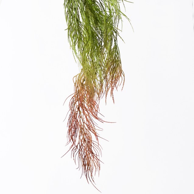 Supergreens Τεχνητή Κρεμαστή Φτέρη Kόκκινη 83 εκ.