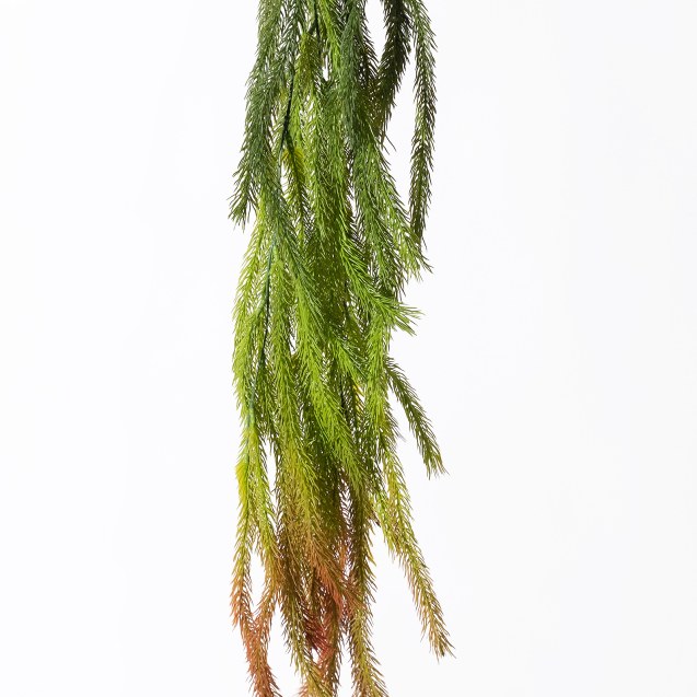 Supergreens Τεχνητή Κρεμαστή Φτέρη Κόκκινη 84 εκ.