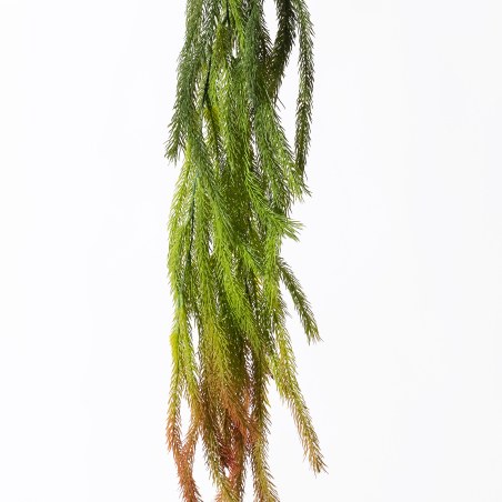 Supergreens Τεχνητή Κρεμαστή Φτέρη Κόκκινη 84 εκ.