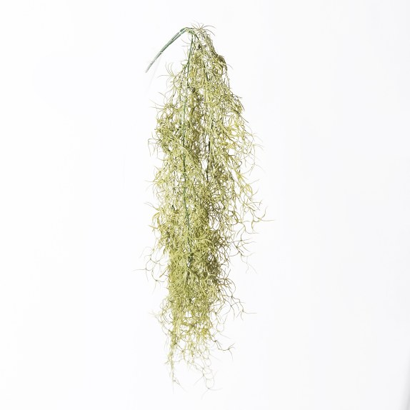 Supergreens Τεχνητή Κρεμαστή Φτέρη Bracken Πράσινη...