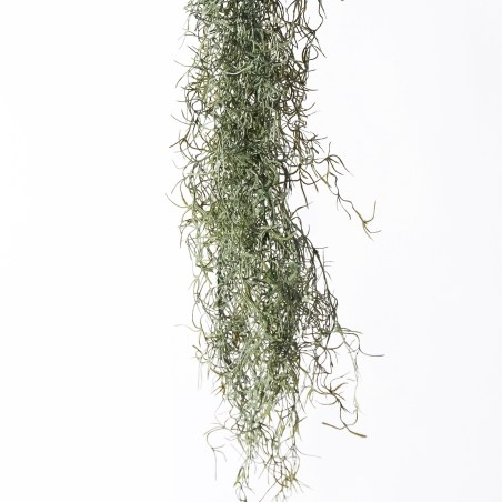 Supergreens Τεχνητή Κρεμαστή Φτέρη Bracken Πράσινη Σκούρη 90 εκ.