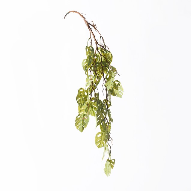 Supergreens Τεχνητή Κρεμαστή Μονστέρα Πράσινη...