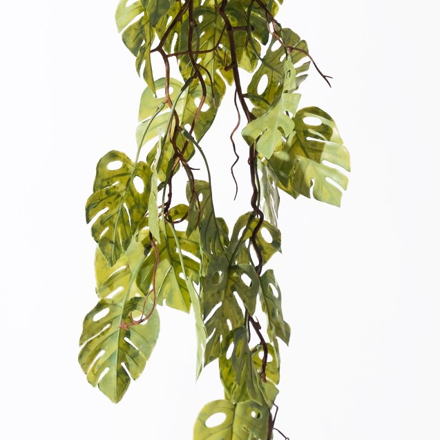 Supergreens Τεχνητή Κρεμαστή Μονστέρα Πράσινη...