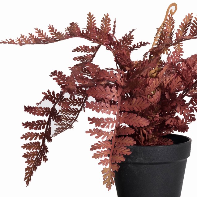 Supergreens Τεχνητό Φυτό Φτέρη Κόκκινο 42 εκ.