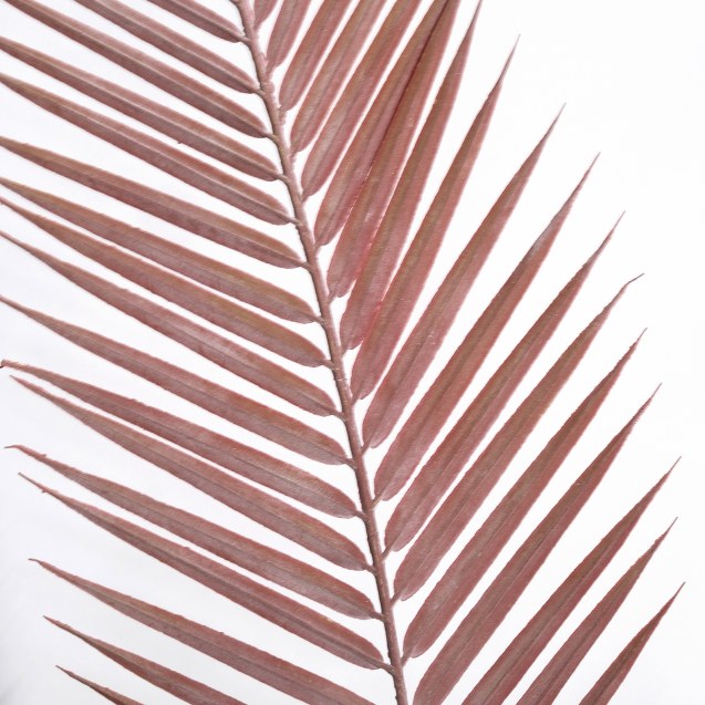 Supergreens Τεχνητό Κλαδί Κέντια Κόκκινο 100 εκ.