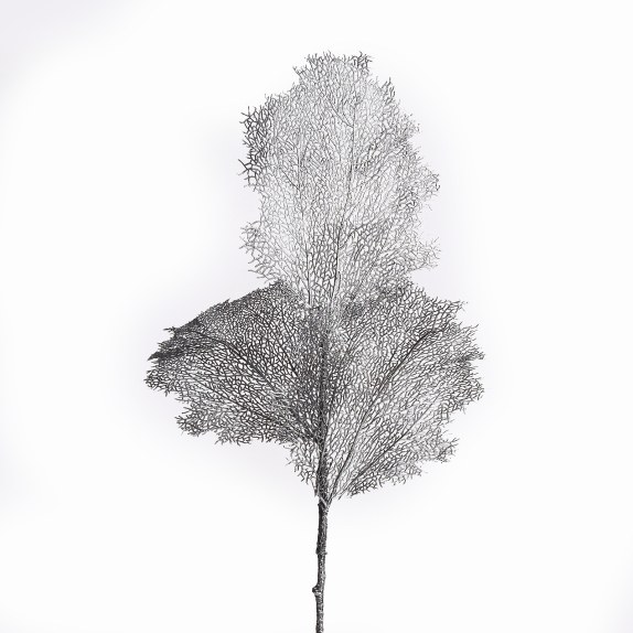 Supergreens Τεχνητό Φύλλο Κοράλι Ασημί 90 εκ.