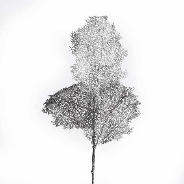 Supergreens Τεχνητό Φύλλο Κοράλι Ασημί 90 εκ.