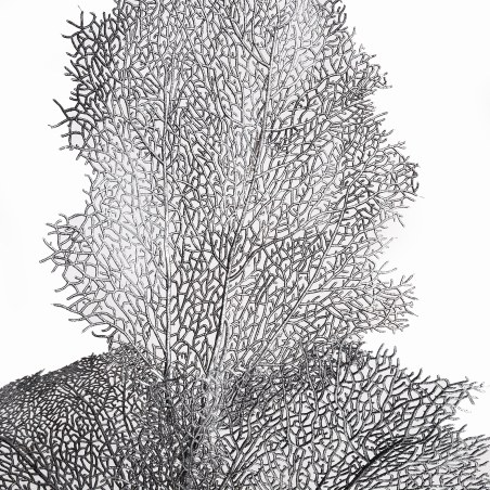 Supergreens Τεχνητό Φύλλο Κοράλι Ασημί 90 εκ.