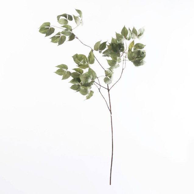 Supergreens Τεχνητό Κλαδί Κισσός Πράσινο 109 εκ.