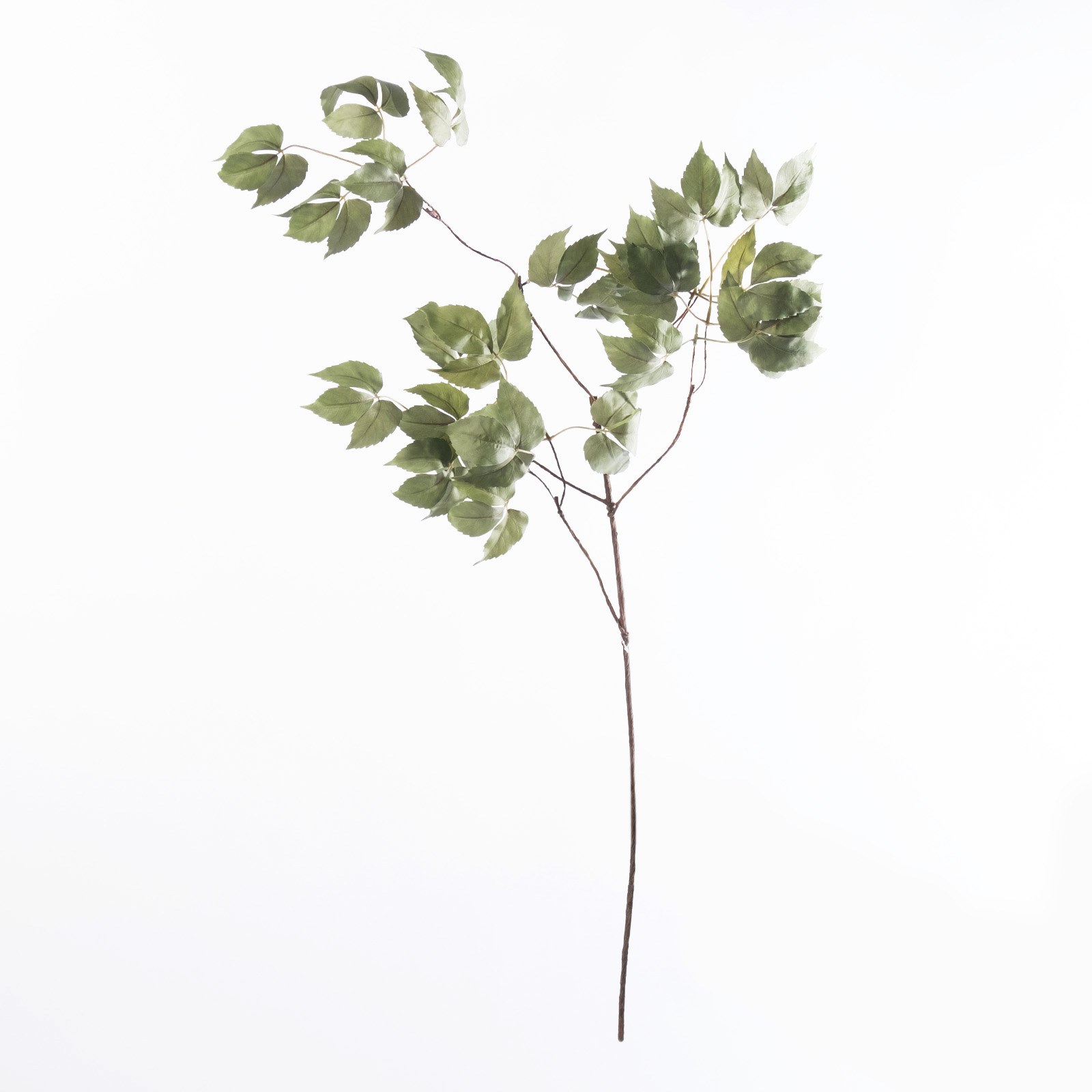 Supergreens Τεχνητό Κλαδί Κισσός Πράσινο 109 εκ.