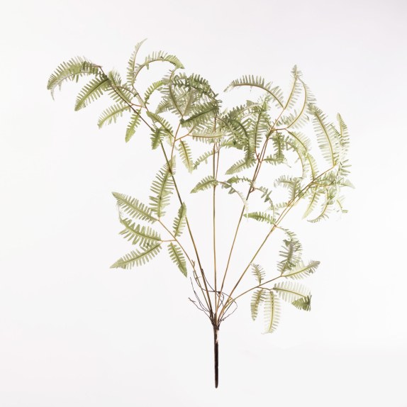 Supergreens Τεχνητό Κλαδί Φτέρη Πράσινο 83 εκ.