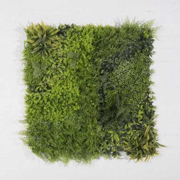 Supergreens Τεχνητή Φυλλωσιά Φτέρη με Baby Tooth Moss...