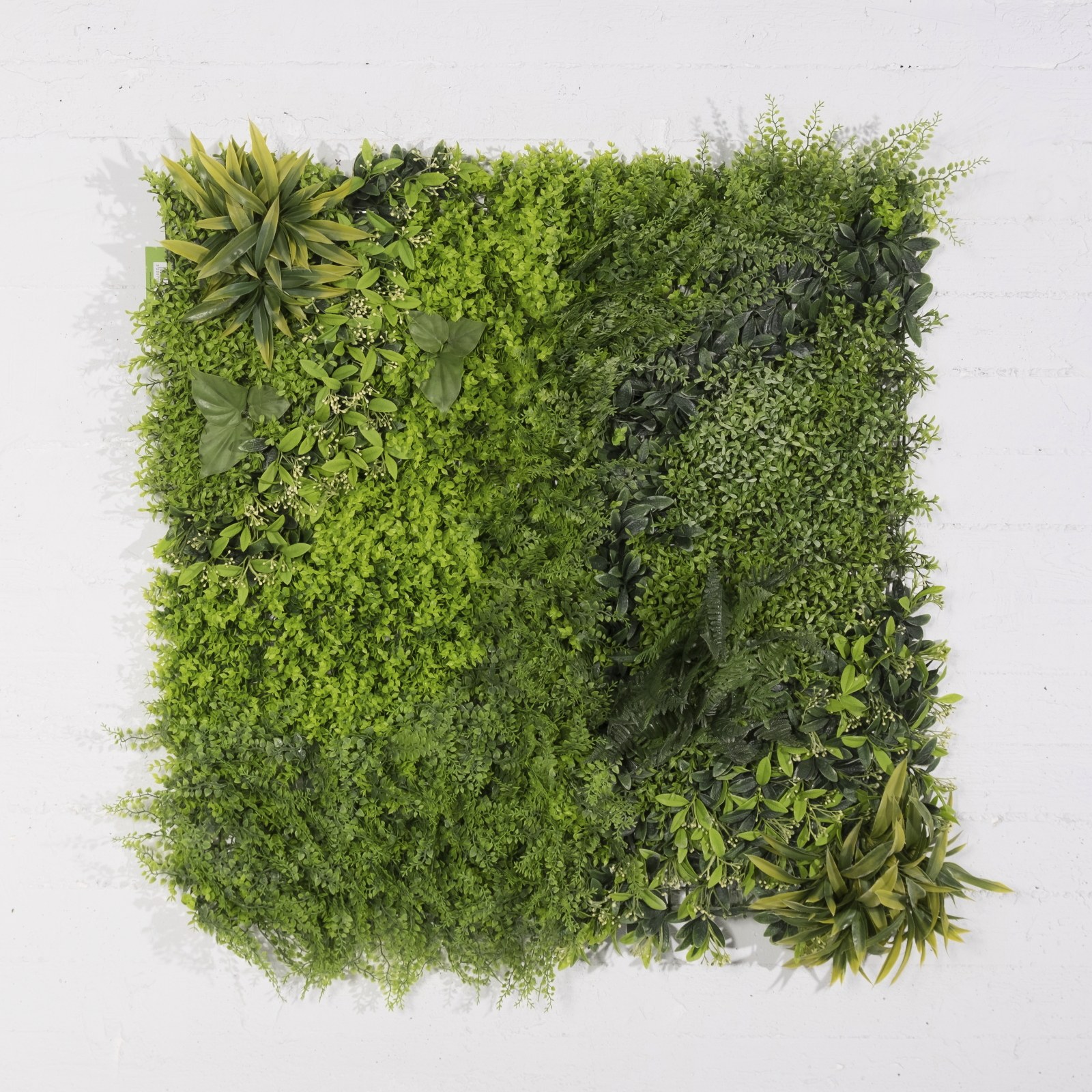 Supergreens Τεχνητή Φυλλωσιά Φτέρη με Baby Tooth Moss 100x100 εκ.