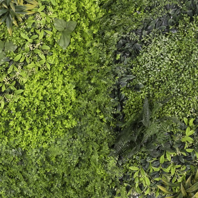 Supergreens Τεχνητή Φυλλωσιά Φτέρη με Baby...