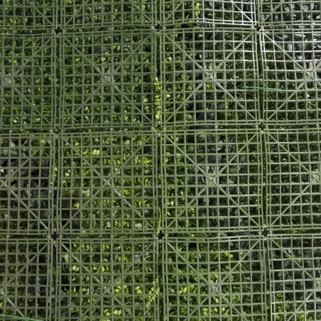 Supergreens Τεχνητή Φυλλωσιά Φτέρη με Baby Tooth Moss 100x100 εκ.