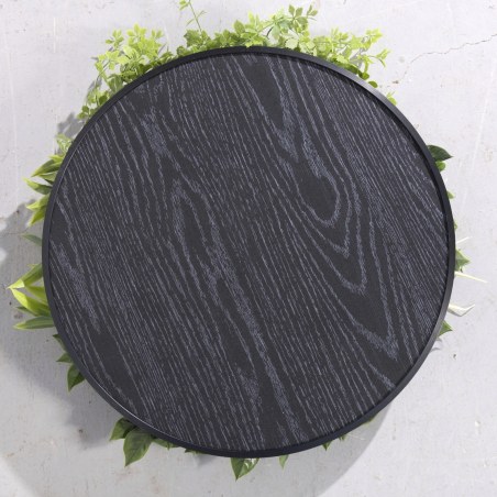 Supergreens Τεχνητή Φυλλωσιά Κάλαμος με Moss D:50 εκ.