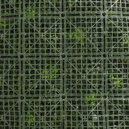 Supergreens Τεχνητή Φυλλωσιά Πυξάρι με Moss "Giardino" Πράσινη 100x100 εκ.