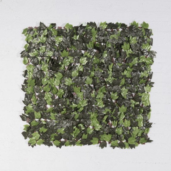 Supergreens Τεχνητή Φυλλωσιά Πτυσσόμενη Κισσός "Eden"...