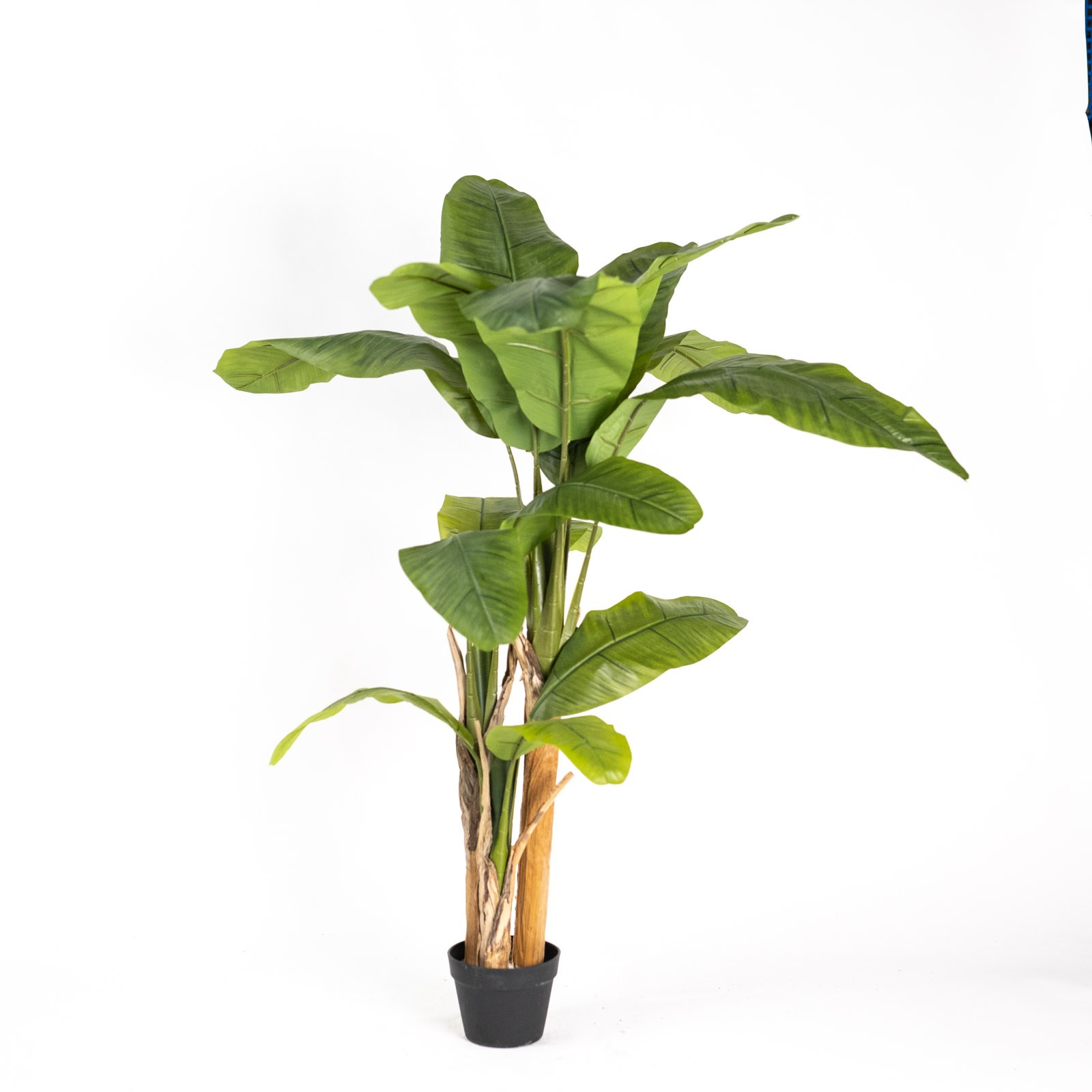 Supergreens Τεχνητό Δέντρο Μπανανιά "Musa Arbor" με Διπλό Κορμό Πράσινο160 εκ.