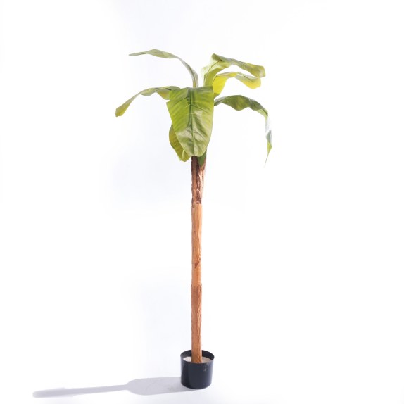 Supergreens Τεχνητό Δέντρο Μπανανιά "Musa Vertica"...