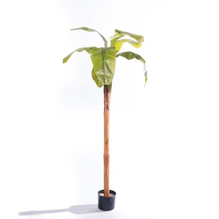 Supergreens Τεχνητό Δέντρο Μπανανιά "Musa Vertica" Πράσινο160 εκ.