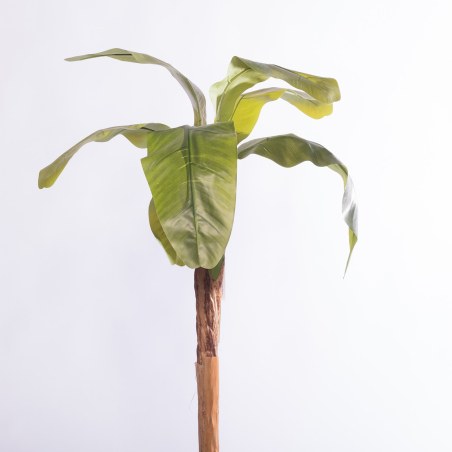 Supergreens Τεχνητό Δέντρο Μπανανιά "Musa Vertica" Πράσινο160 εκ.