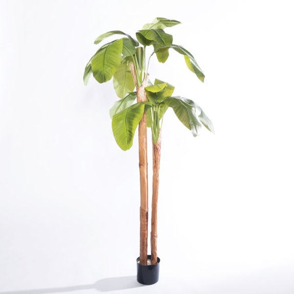 Supergreens Τεχνητό Δέντρο Μπανανιά "Musa Arbor" με Διπλό...