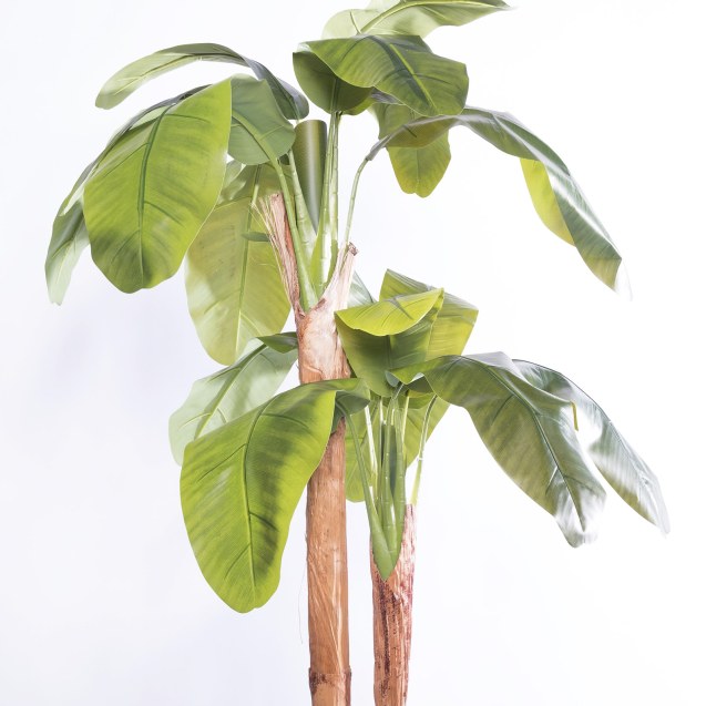 Supergreens Τεχνητό Δέντρο Μπανανιά "Musa...