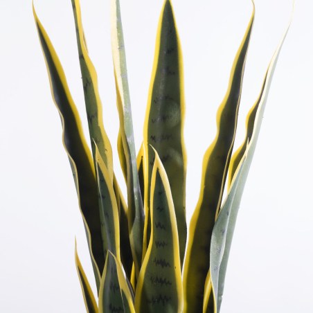 Supergreens Τεχνητό Φυτό Σανσεβιέρα Trifasciata Πράσινο 75 εκ.