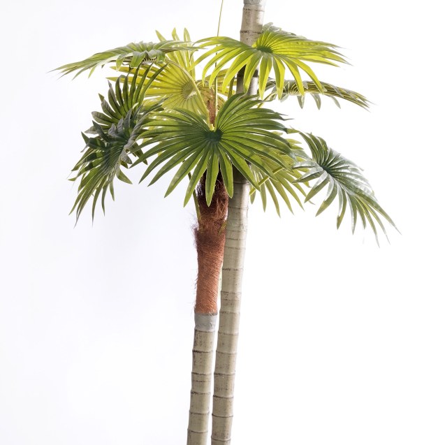 Supergreens Τεχνητό Δέντρο Φοίνικας "Radix" με...