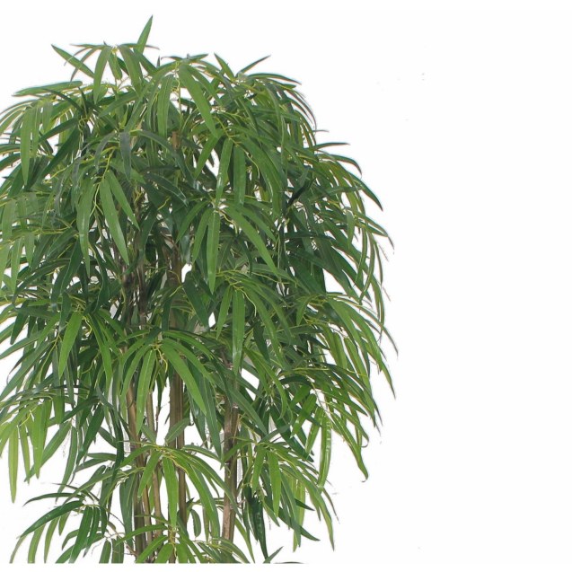 Supergreens Τεχνητό Δέντρο Μπαμπού Lagoon...