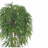 Supergreens Τεχνητό Δέντρο Μπαμπού Lagoon Πράσινο 183 εκ.
