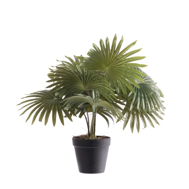 Supergreens Τεχνητό Φυτό Φοίνικας Washingtonia...