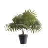 Supergreens Τεχνητό Φυτό Φοίνικας Washingtonia Πράσινο 48 εκ.