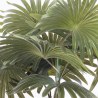 Supergreens Τεχνητό Φυτό Φοίνικας Washingtonia Πράσινο 48 εκ.