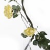 Supergreens Τεχνητή Γιρλάντα Τριαντάφυλλο Garden Κίτρινη 240 εκ.